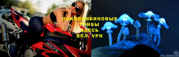 Альфа ПВП Абаза