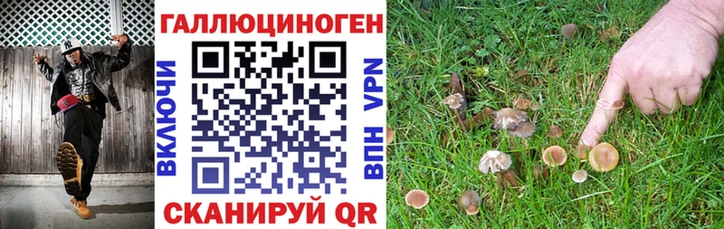 Псилоцибиновые грибы прущие грибы  Новокубанск 
