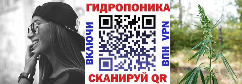Каннабис семена  hydra как войти  shop формула  Новокубанск 